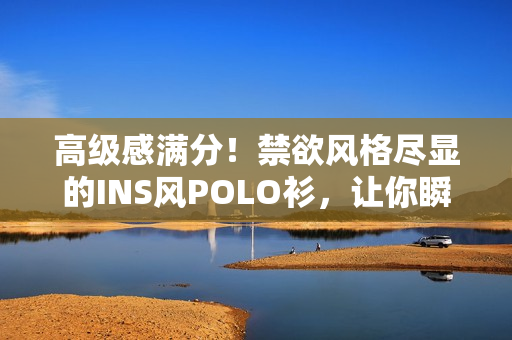高級感滿分！禁欲風(fēng)格盡顯的INS風(fēng)POLO衫，讓你瞬間成為時尚焦點