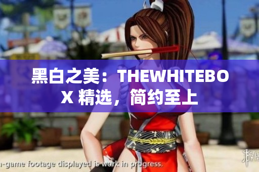 黑白之美：THEWHITEBOX 精選，簡約至上