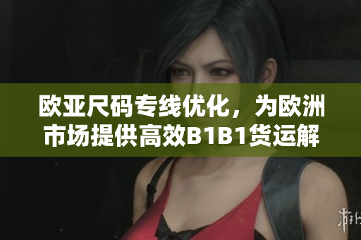 歐亞尺碼專線優(yōu)化，為歐洲市場提供高效B1B1貨運(yùn)解決方案