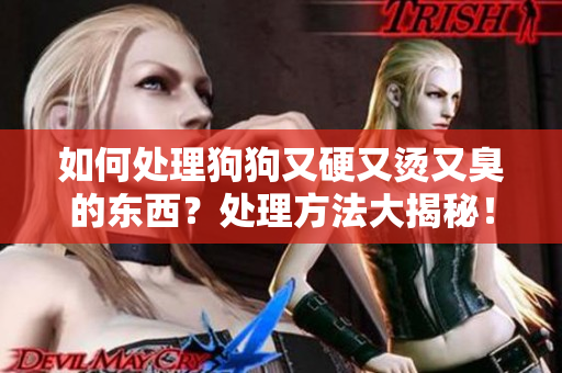 如何處理狗狗又硬又燙又臭的東西？處理方法大揭秘！