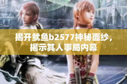 揭開魷魚b2577神秘面紗，揭示其人事局內(nèi)幕