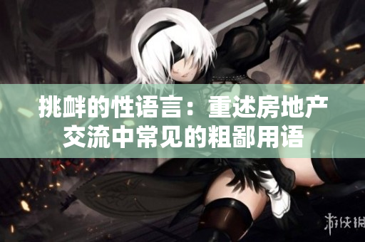 挑釁的性語言：重述房地產(chǎn)交流中常見的粗鄙用語