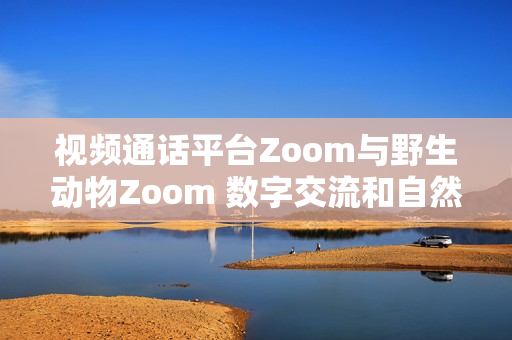 視頻通話平臺Zoom與野生動物Zoom 數(shù)字交流和自然奇觀的奇妙對話