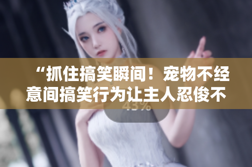 “抓住搞笑瞬間！寵物不經(jīng)意間搞笑行為讓主人忍俊不禁！”
