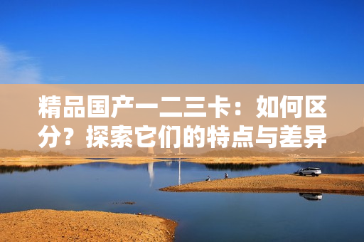精品國產(chǎn)一二三卡：如何區(qū)分？探索它們的特點與差異
