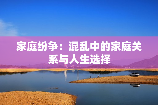 家庭紛爭(zhēng)：混亂中的家庭關(guān)系與人生選擇