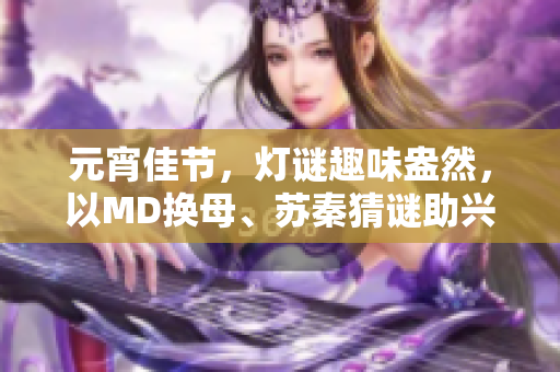元宵佳節(jié)，燈謎趣味盎然，以MD換母、蘇秦猜謎助興