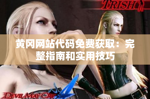 黃岡網(wǎng)站代碼免費(fèi)獲?。和暾改虾蛯?shí)用技巧