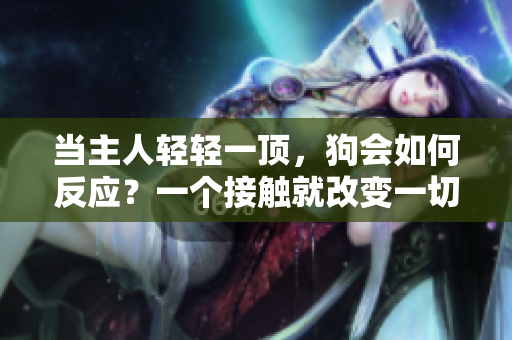 當(dāng)主人輕輕一頂，狗會(huì)如何反應(yīng)？一個(gè)接觸就改變一切的親密時(shí)刻。