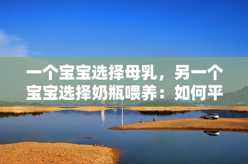 一個寶寶選擇母乳，另一個寶寶選擇奶瓶喂養(yǎng)：如何平衡哺乳和瓶喂的挑戰(zhàn)