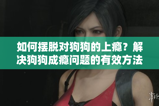 如何擺脫對(duì)狗狗的上癮？解決狗狗成癮問(wèn)題的有效方法