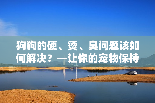 狗狗的硬、燙、臭問(wèn)題該如何解決？—讓你的寵物保持舒適與健康