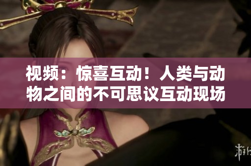 視頻：驚喜互動(dòng)！人類與動(dòng)物之間的不可思議互動(dòng)現(xiàn)場(chǎng)【高清下載】