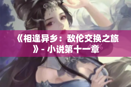《相逢異鄉(xiāng)：敵倫交換之旅》- 小說(shuō)第十一章