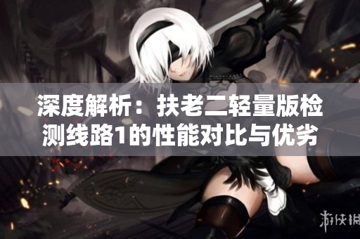 深度解析：扶老二輕量版檢測線路1的性能對比與優(yōu)劣勢分析