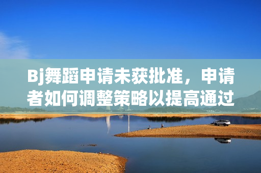 Bj舞蹈申請未獲批準，申請者如何調(diào)整策略以提高通過率？
