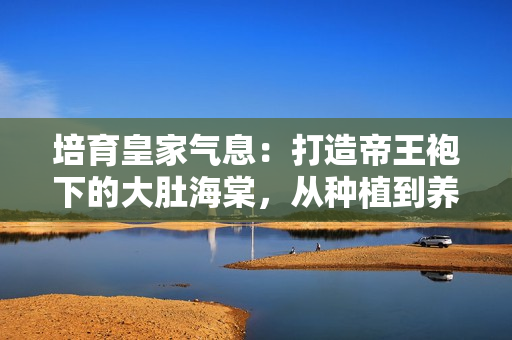 培育皇家氣息：打造帝王袍下的大肚海棠，從種植到養(yǎng)護(hù)一攬皆全