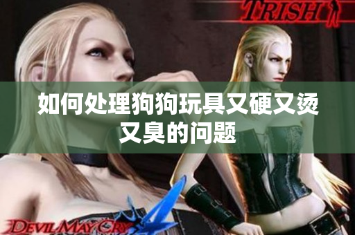 如何處理狗狗玩具又硬又燙又臭的問(wèn)題