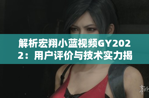 解析宏翔小藍(lán)視頻GY2022：用戶(hù)評(píng)價(jià)與技術(shù)實(shí)力揭秘