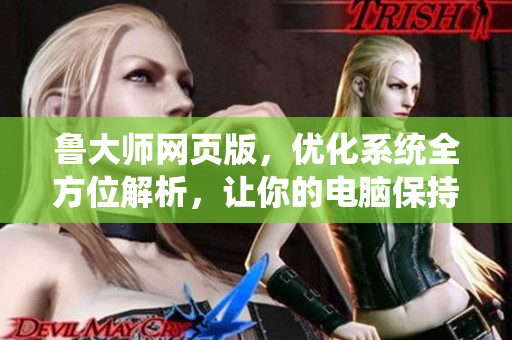 魯大師網(wǎng)頁版，優(yōu)化系統(tǒng)全方位解析，讓你的電腦保持良好狀態(tài)