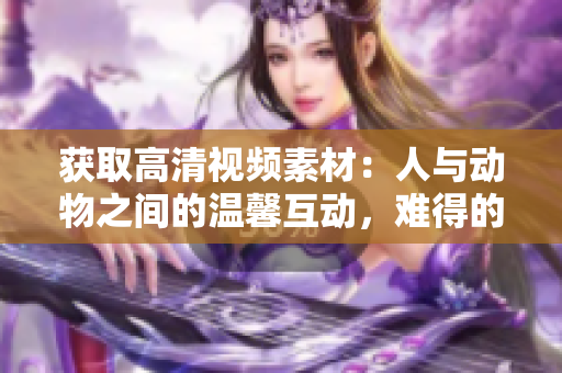 獲取高清視頻素材：人與動(dòng)物之間的溫馨互動(dòng)，難得的瞬間展現(xiàn)