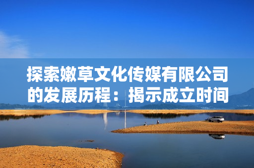 探索嫩草文化傳媒有限公司的發(fā)展歷程：揭示成立時(shí)間與關(guān)鍵事件背后的故事  