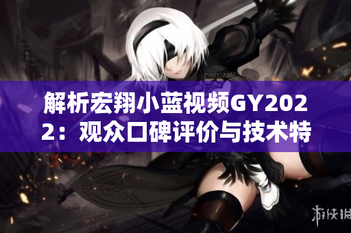 解析宏翔小藍(lán)視頻GY2022：觀眾口碑評(píng)價(jià)與技術(shù)特點(diǎn)綜述