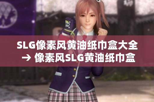 SLG像素風(fēng)黃油紙巾盒大全 → 像素風(fēng)SLG黃油紙巾盒推薦：全面解析