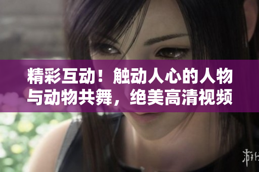 精彩互動！觸動人心的人物與動物共舞，絕美高清視頻素材即刻下載！
