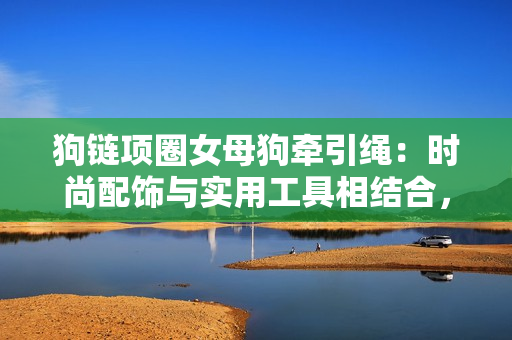 狗鏈項圈女母狗牽引繩：時尚配飾與實用工具相結(jié)合，帶有鈴鐺設(shè)計增添樂趣