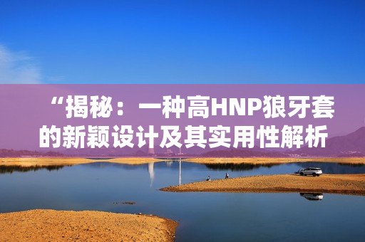 “揭秘：一種高HNP狼牙套的新穎設(shè)計及其實用性解析”