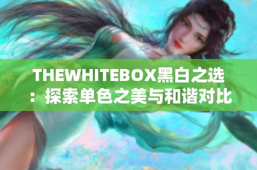 THEWHITEBOX黑白之選：探索單色之美與和諧對比
