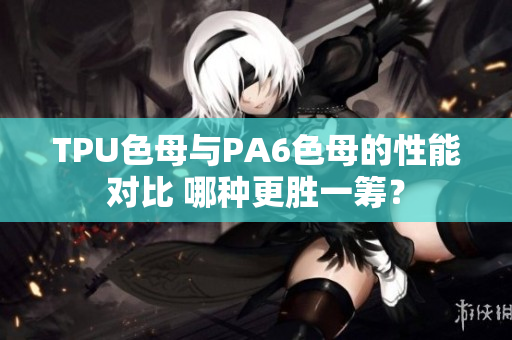 TPU色母與PA6色母的性能對(duì)比 哪種更勝一籌？