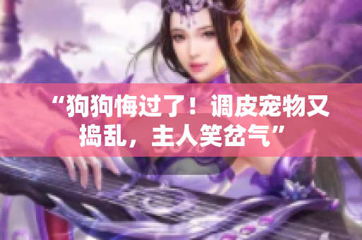 “狗狗悔過了！調(diào)皮寵物又搗亂，主人笑岔氣”