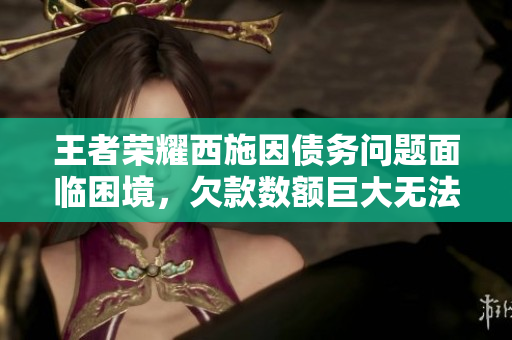 王者榮耀西施因債務(wù)問題面臨困境，欠款數(shù)額巨大無法償還，引發(fā)輿論關(guān)注。