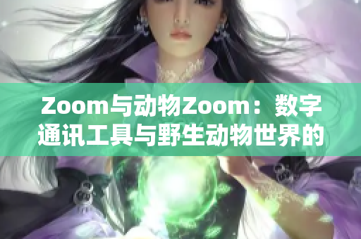 Zoom與動(dòng)物Zoom：數(shù)字通訊工具與野生動(dòng)物世界的奇妙對比