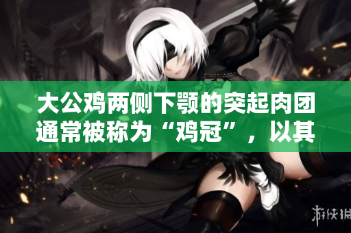 大公雞兩側(cè)下顎的突起肉團(tuán)通常被稱為“雞冠”，以其特殊形態(tài)而備受矚目。