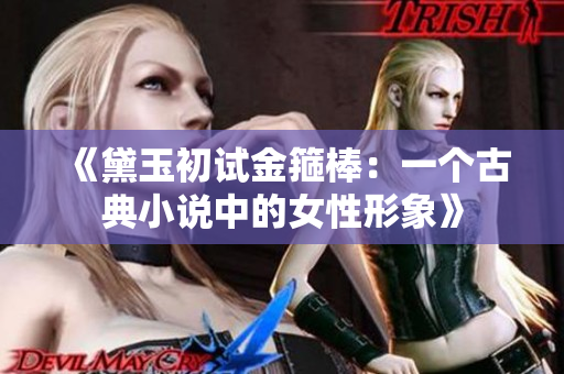 《黛玉初試金箍棒：一個(gè)古典小說(shuō)中的女性形象》