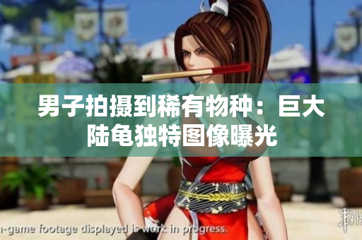 男子拍攝到稀有物種：巨大陸龜獨特圖像曝光