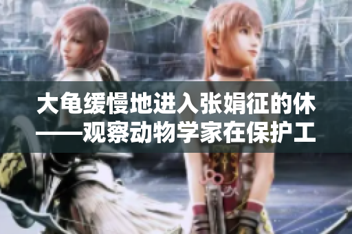 大龜緩慢地進(jìn)入張娟征的休——觀察動物學(xué)家在保護(hù)工作中的研究