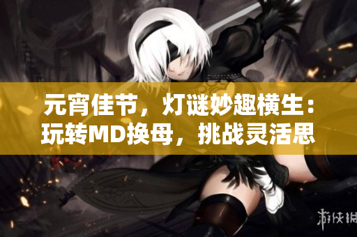 元宵佳節(jié)，燈謎妙趣橫生：玩轉(zhuǎn)MD換母，挑戰(zhàn)靈活思維