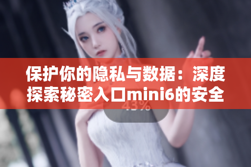 保護(hù)你的隱私與數(shù)據(jù)：深度探索秘密入口mini6的安全特性