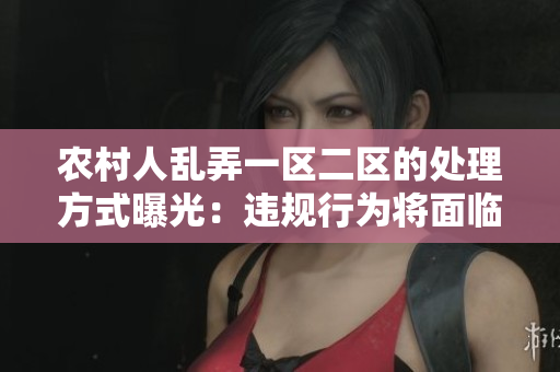 農(nóng)村人亂弄一區(qū)二區(qū)的處理方式曝光：違規(guī)行為將面臨何種處罰？