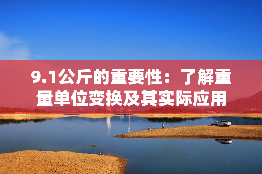9.1公斤的重要性：了解重量單位變換及其實(shí)際應(yīng)用