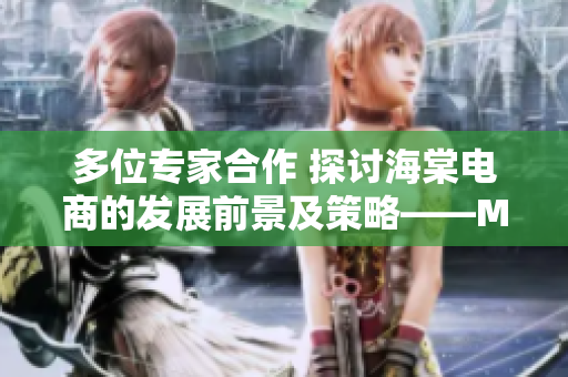 多位專家合作 探討海棠電商的發(fā)展前景及策略——MBA智庫專題研究