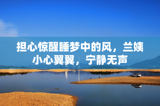 擔(dān)心驚醒睡夢(mèng)中的風(fēng)，蘭姨小心翼翼，寧?kù)o無(wú)聲