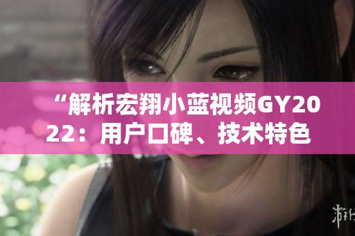 “解析宏翔小藍視頻GY2022：用戶口碑、技術特色與行業(yè)影響綜述”