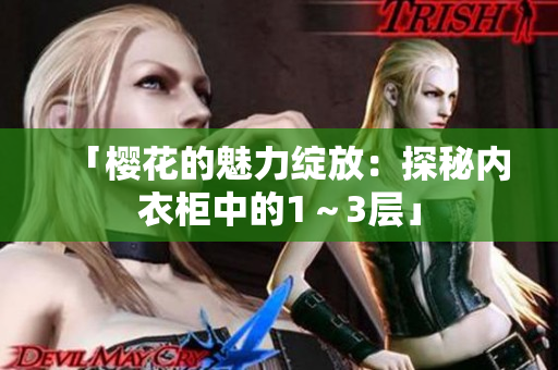 「櫻花的魅力綻放：探秘內(nèi)衣柜中的1～3層」