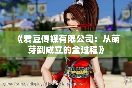 《愛豆傳媒有限公司：從萌芽到成立的全過程》