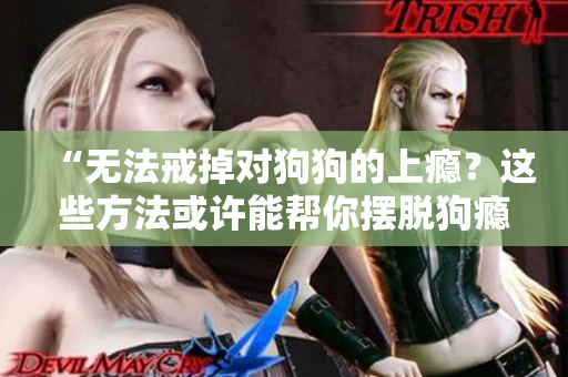 “無法戒掉對狗狗的上癮？這些方法或許能幫你擺脫狗癮的困擾！”